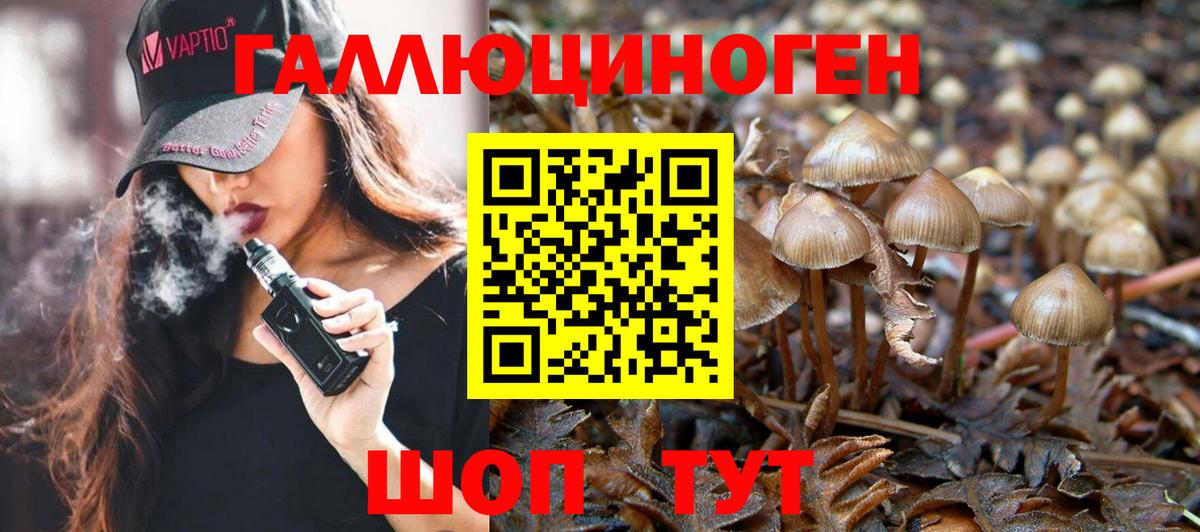Псилоцибиновые грибы ЛСД Курган