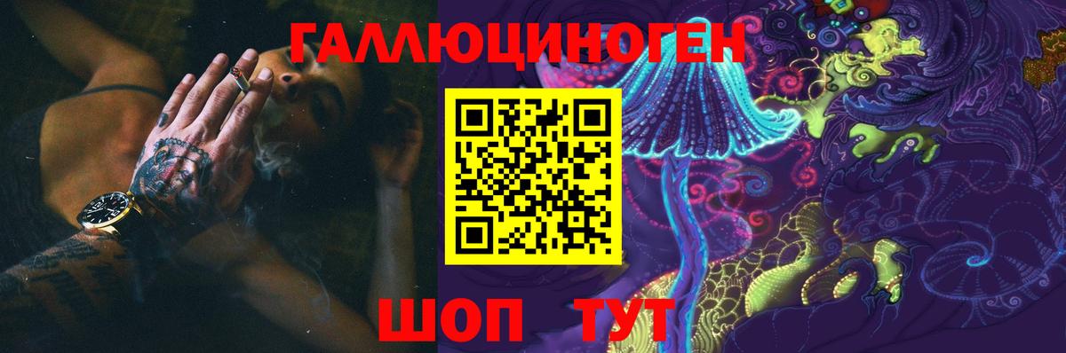 Галлюциногенные грибы GOLDEN TEACHER  Псилоцибиновые грибы Psilocybine cubensis  Курган  Вход с VPN 